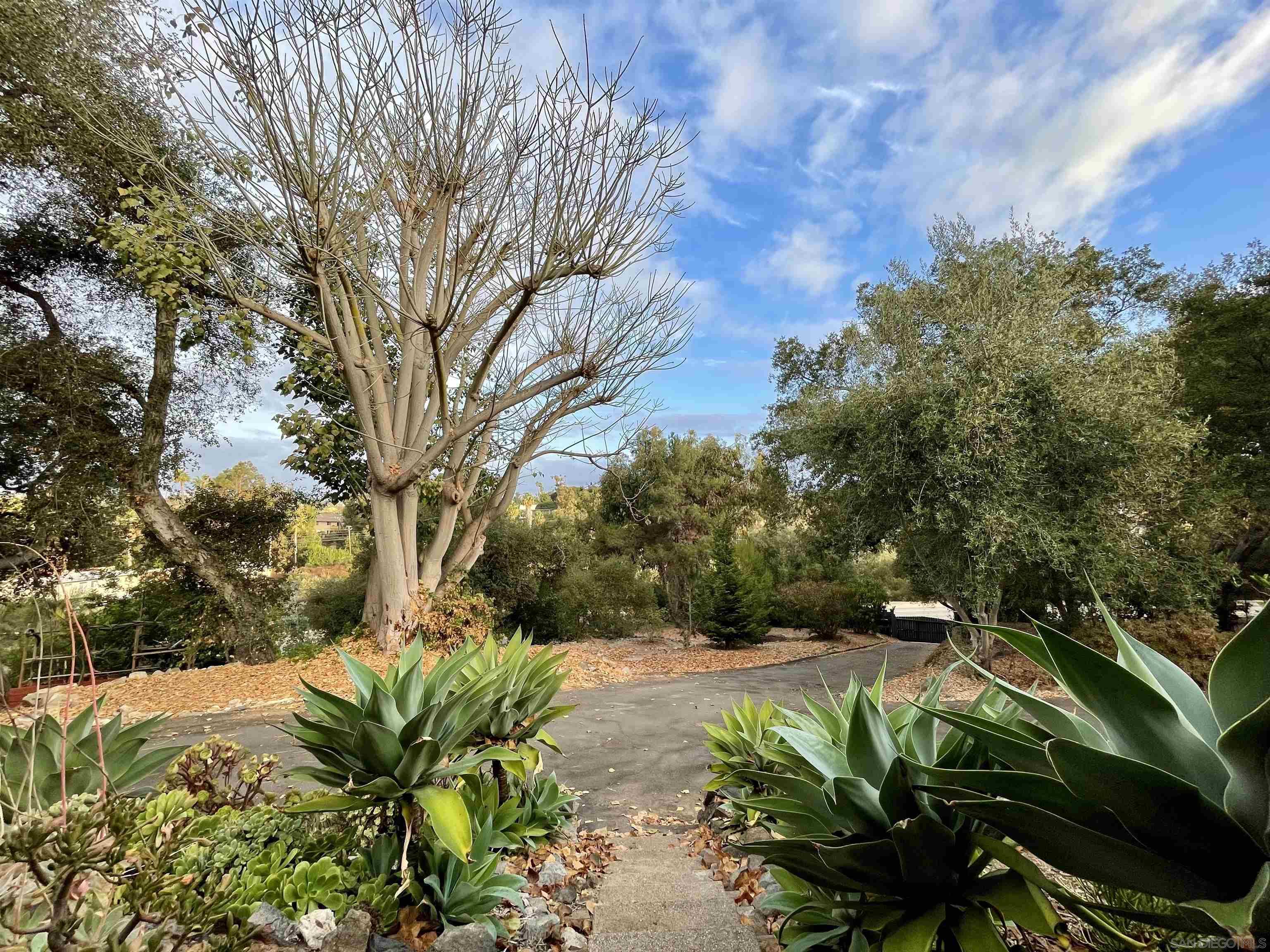 1131  Vale Terrace Dr