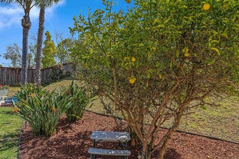 listing image 64
