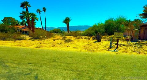 Catarina Borrego Springs CA 92004