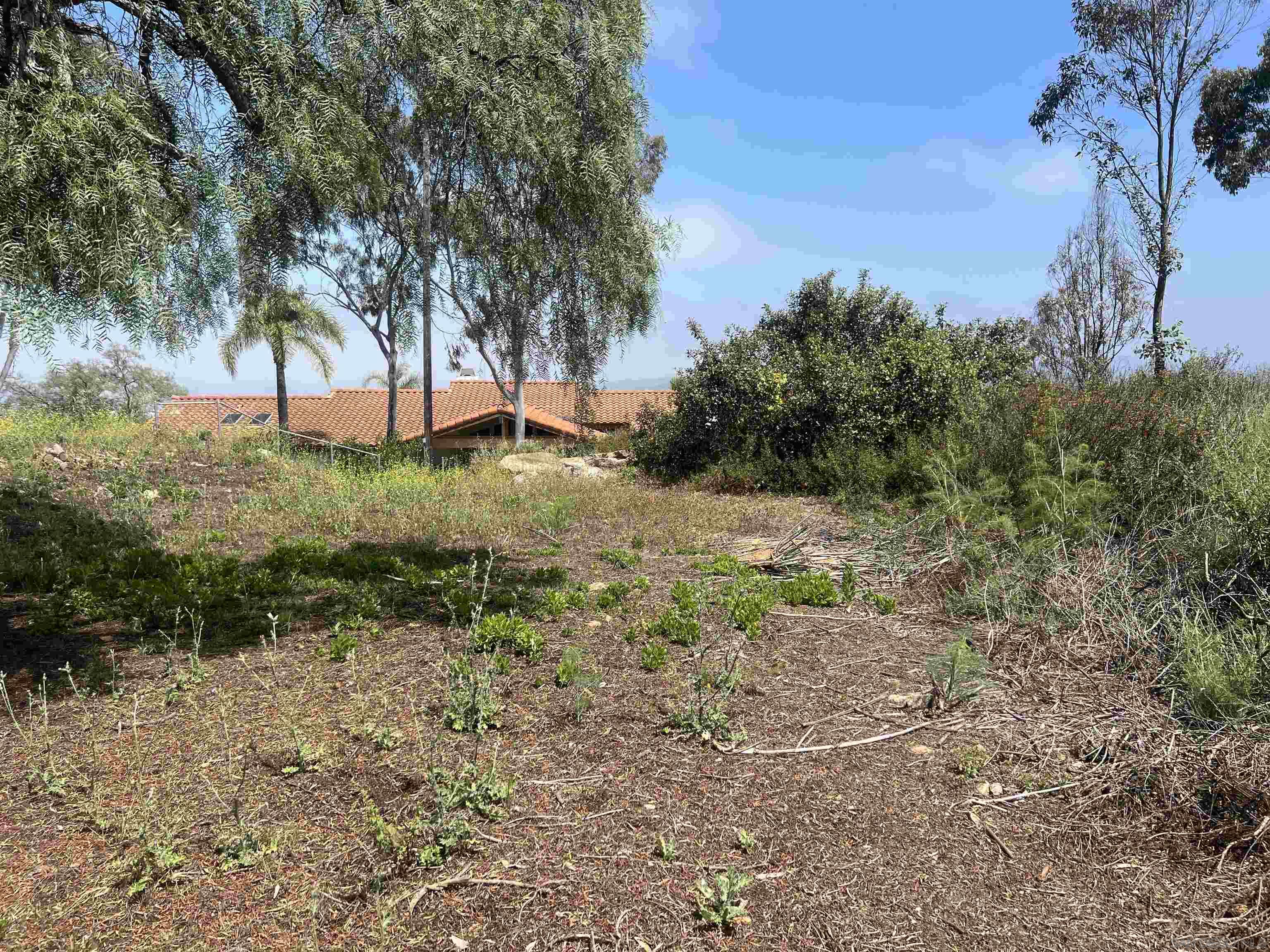 Washingtonia Dr