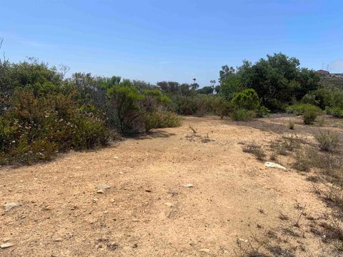 Washingtonia Dr San Marcos CA 92078