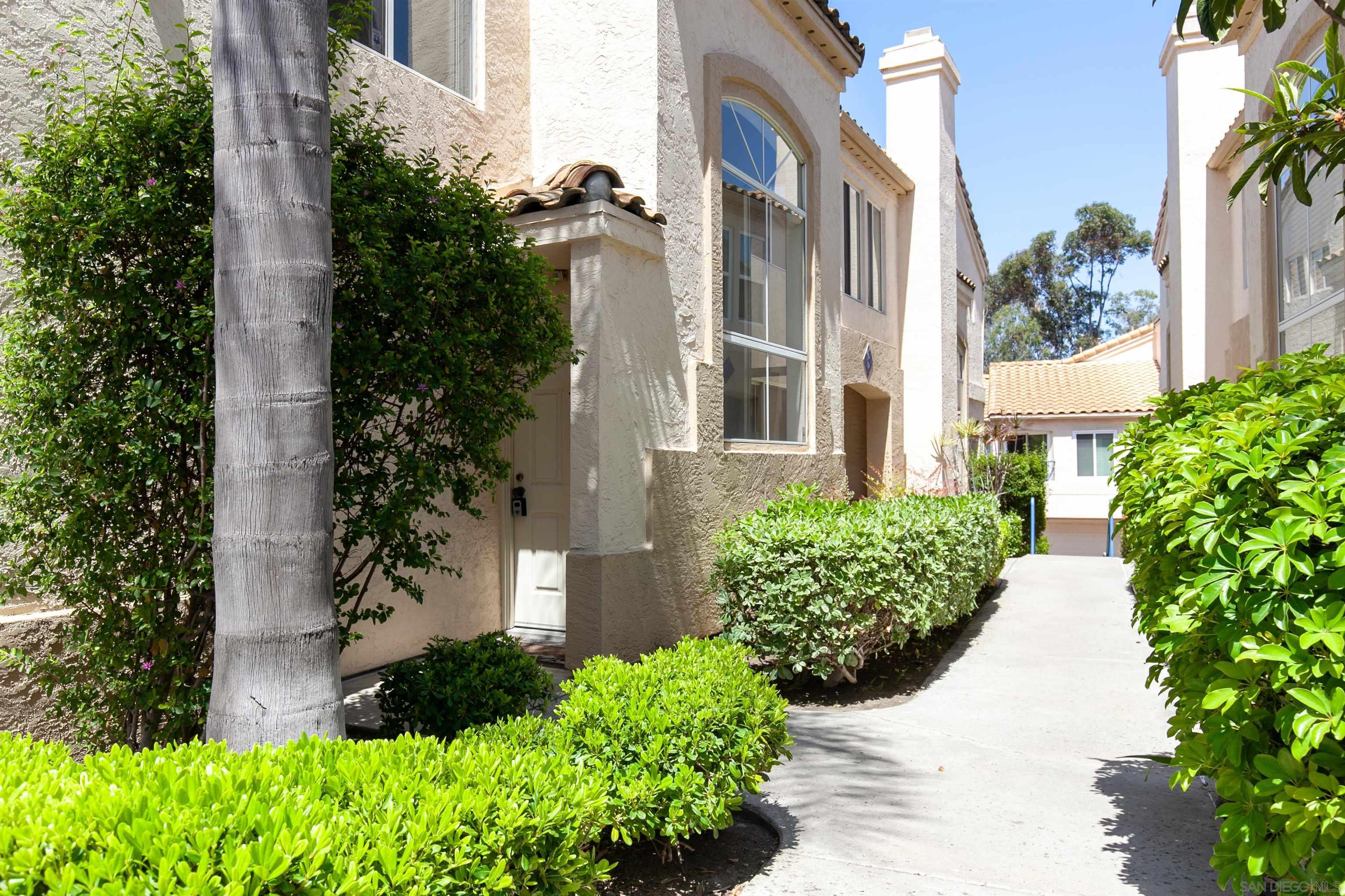 6151 Calle Mariselda 304