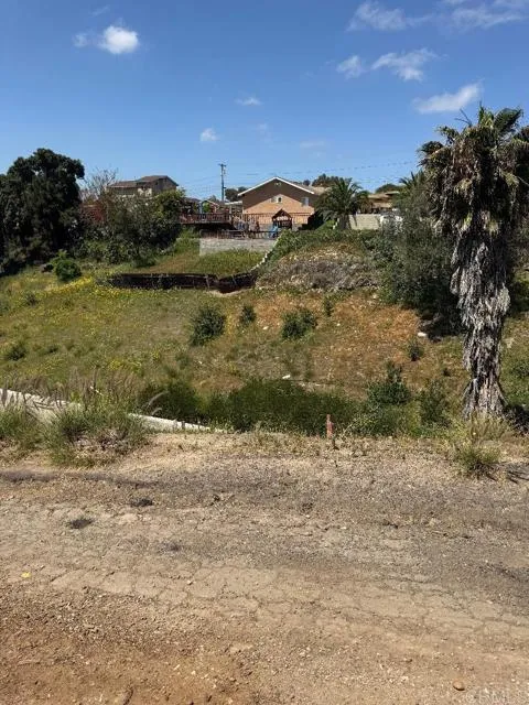 MLS: PTP2503312