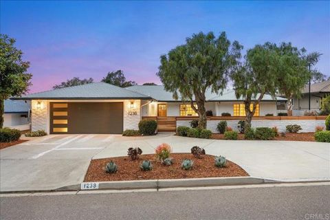 1238 San Julian Dr San Marcos CA 92078