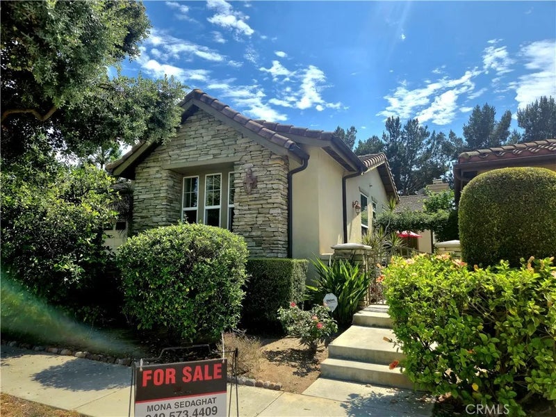 6 Saintsbury