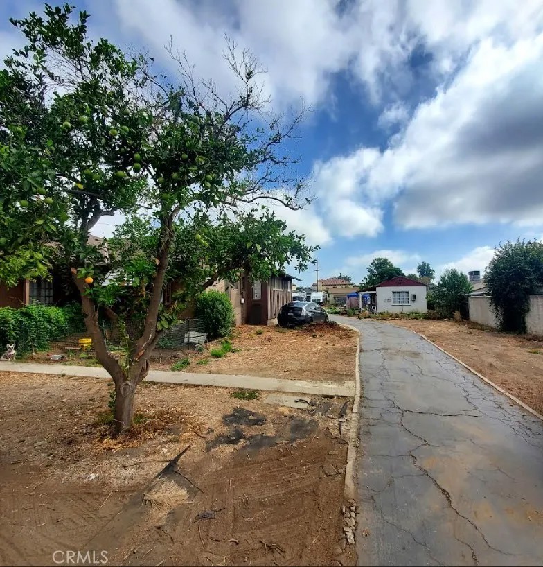 6352 N Muscatel