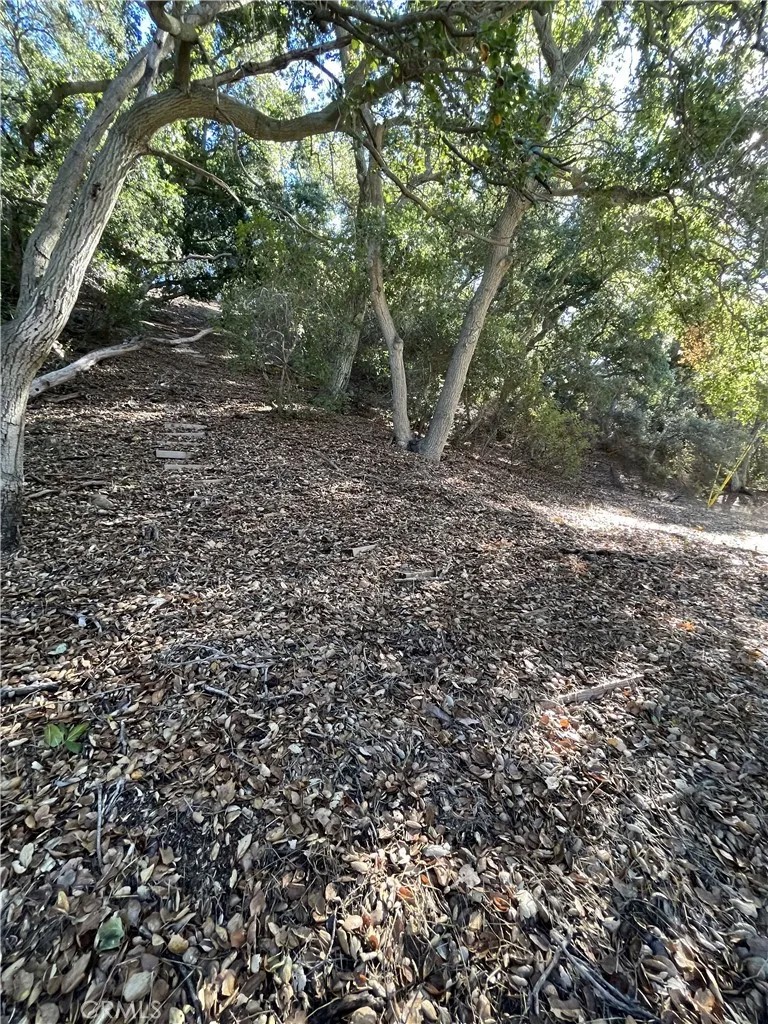 0 Old Topanga Canyon Rd