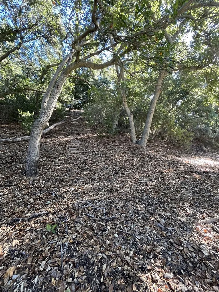 0 Old Topanga Canyon Rd
