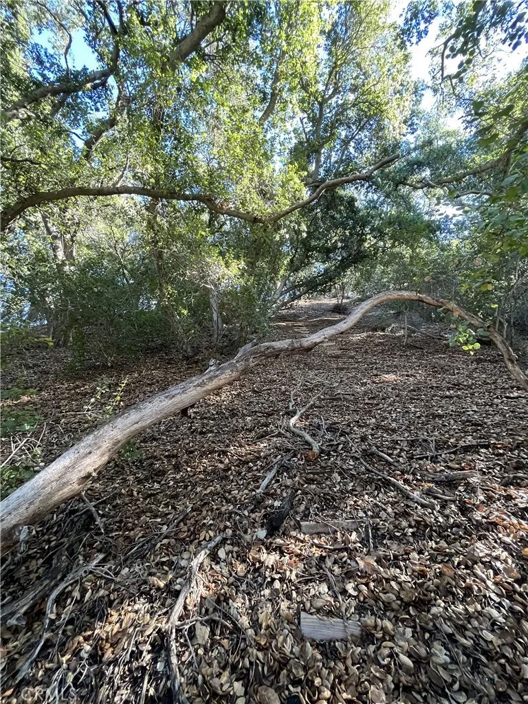0 Old Topanga Canyon Rd