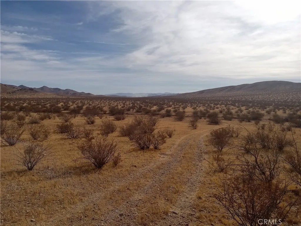 0 Vacant Land