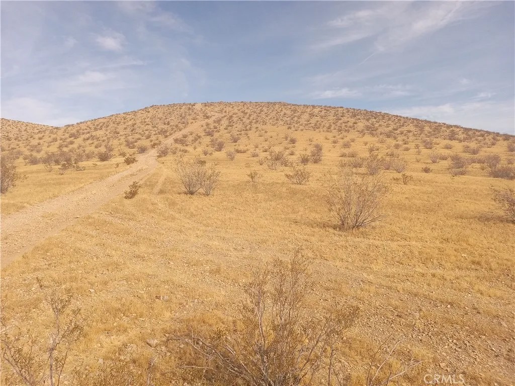0 Vacant Land