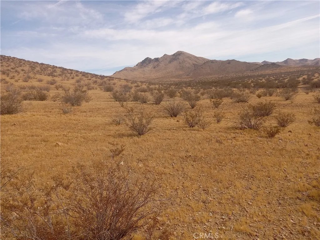 0 Vacant Land