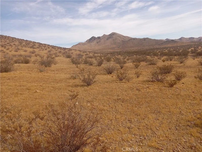 0 Vacant Land