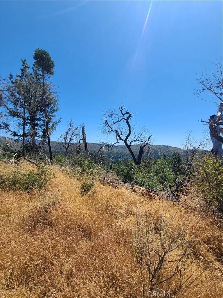 0 HOG RANCH ROAD