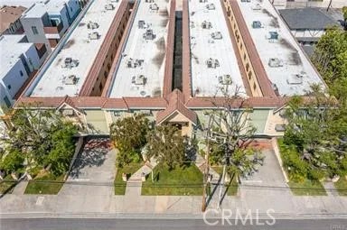 25 Palmetto F