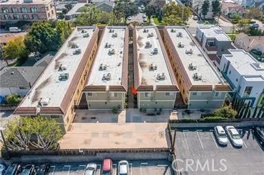 25 Palmetto F