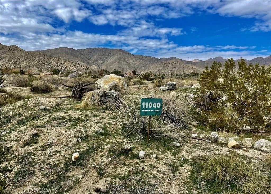 11040 Mescalero