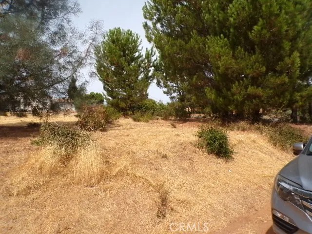 10265 Fairway