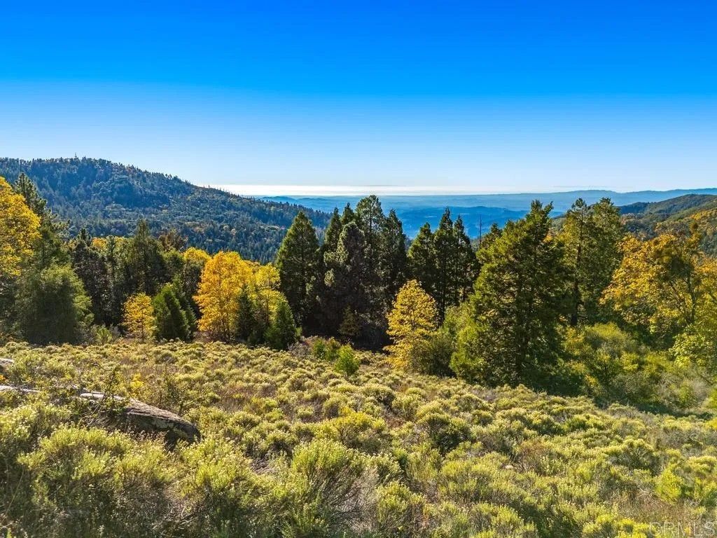 Photo of 0 State Park, Palomar Mountain, CA 92060 (MLS # NDP2511287)