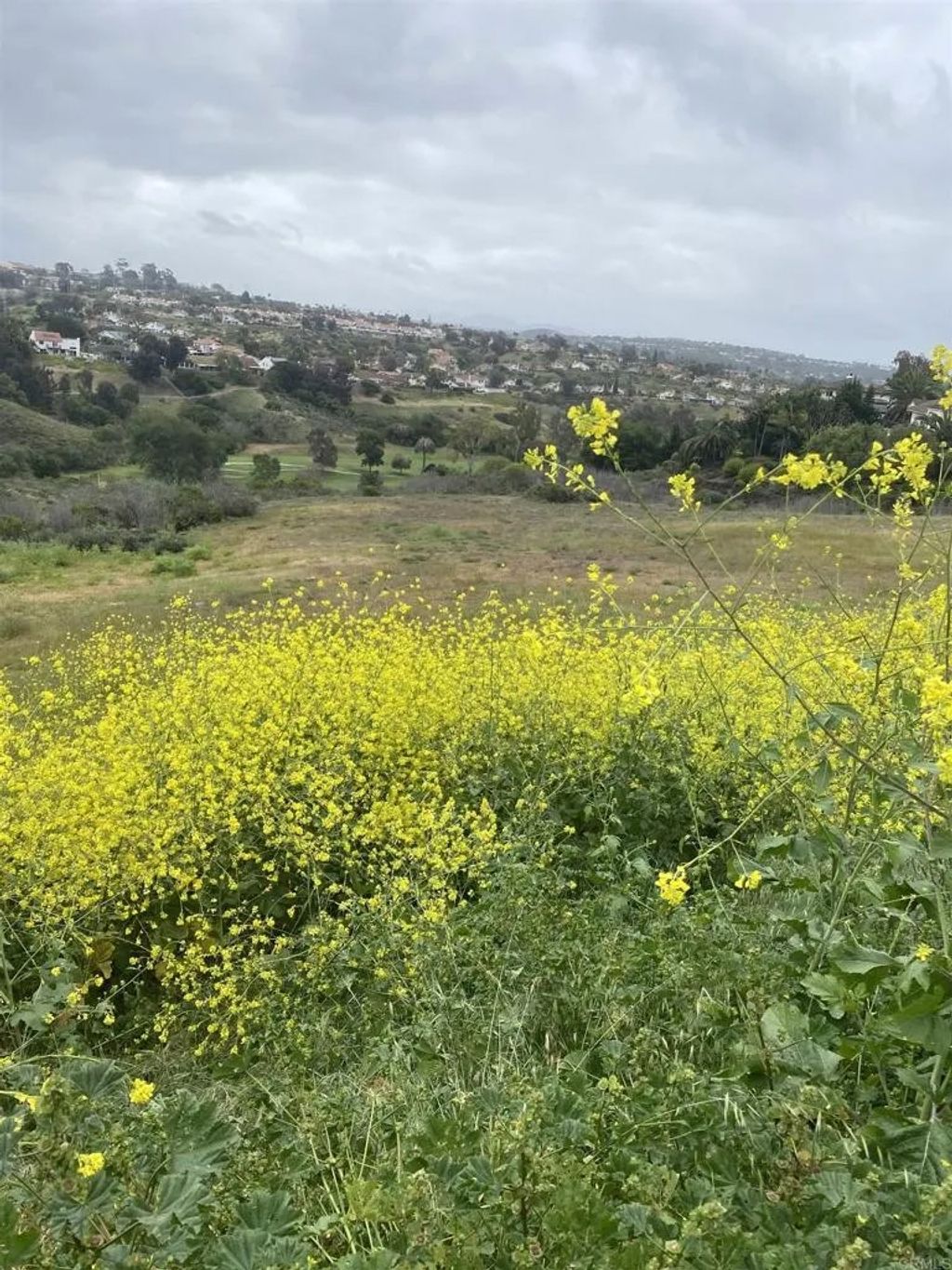 Photo of 0 Oceanview Road, Oceanside, CA 92056 (MLS # NDP2504901)