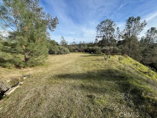 1713 S Longhollow