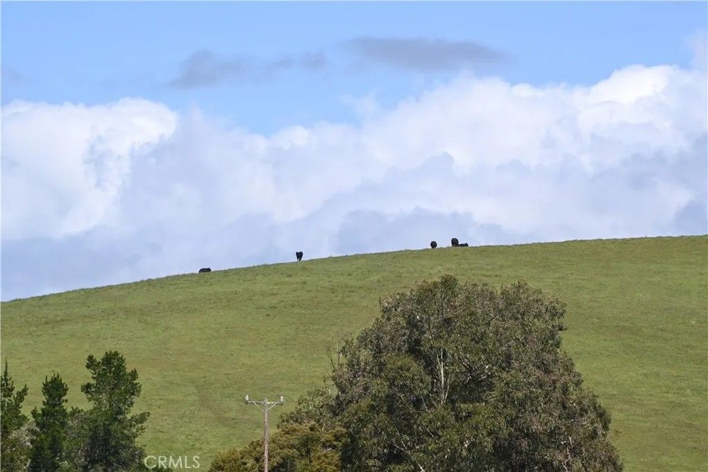 Photo of 4144 Harmony Valley Road, Harmony, CA 93435 (MLS # SC26071368)