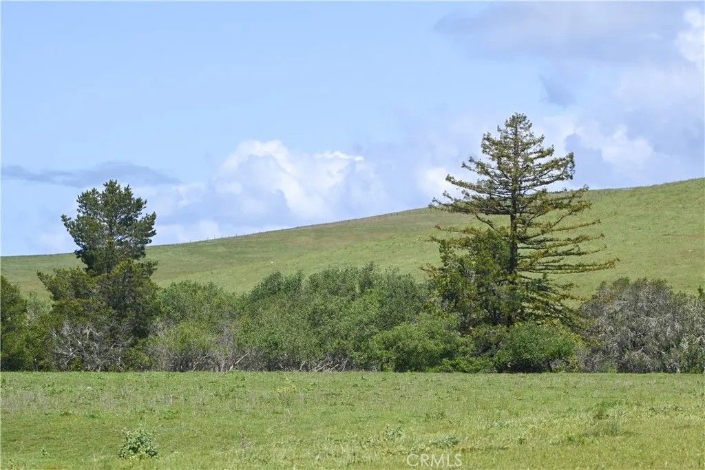 Photo of 4144 Harmony Valley Road, Harmony, CA 93435 (MLS # SC26071368)