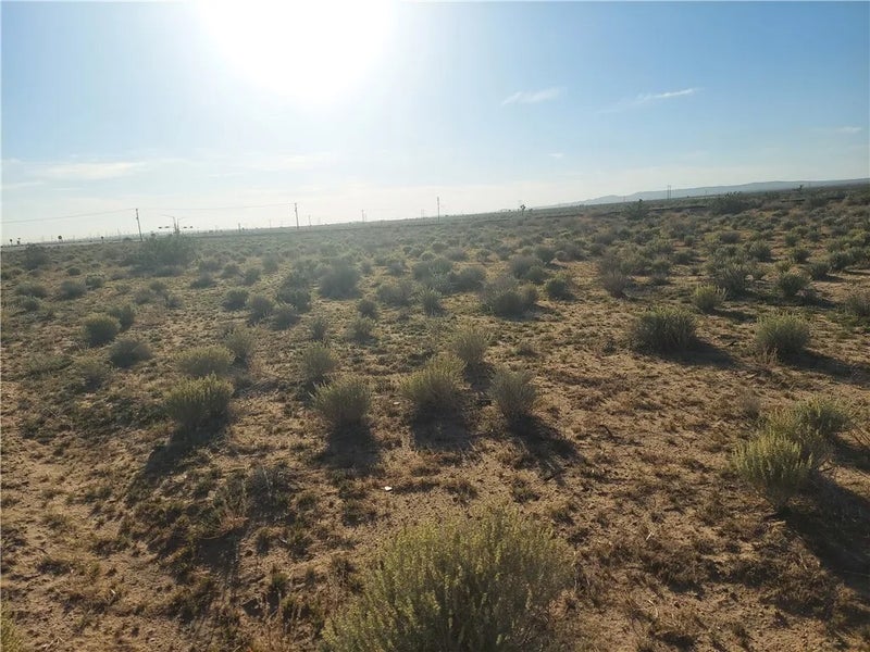 0 Twenty Mule Team Rd #2