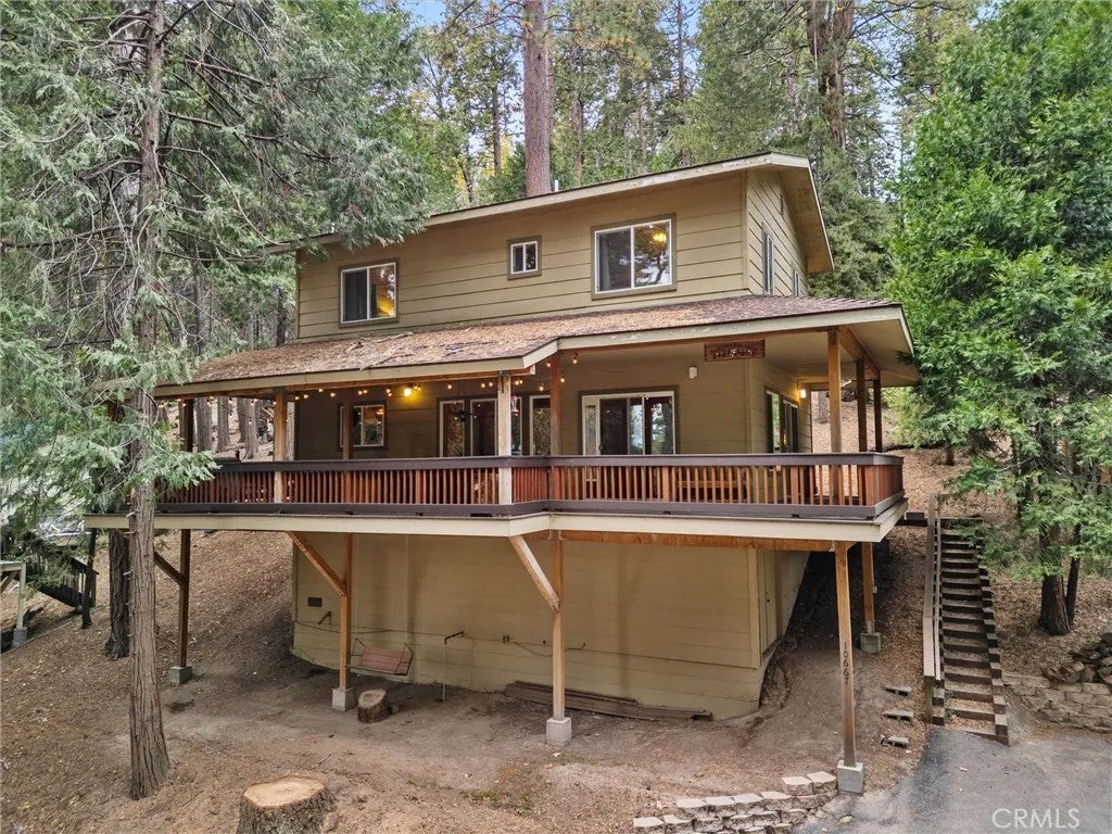 10667 Conifer