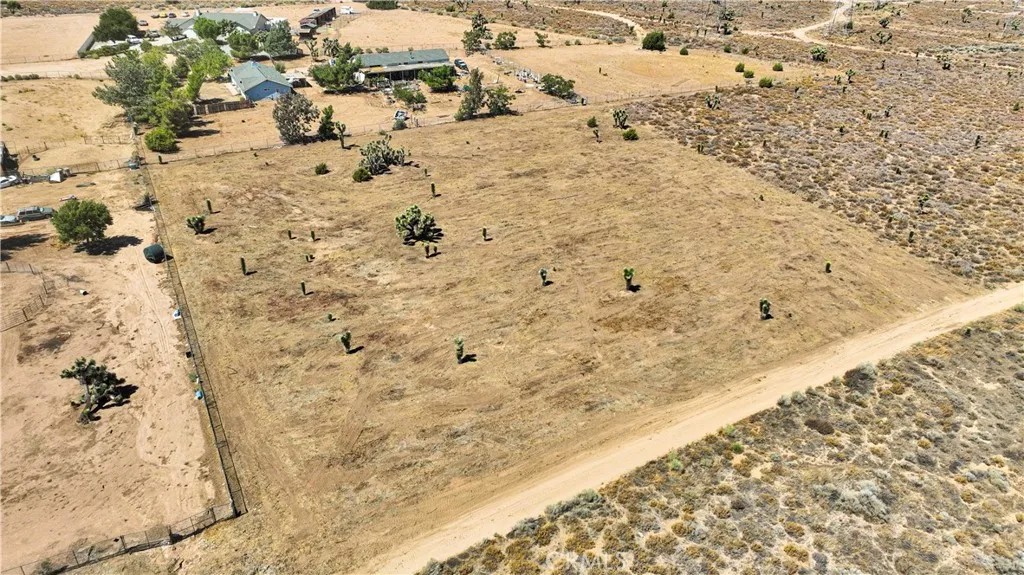 0 Bandicoot Trail