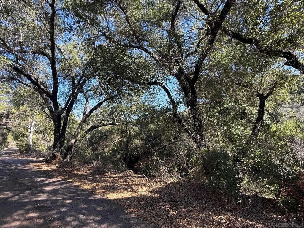 Photo of 000 Wildcat Canyon Road, Lakeside, CA 92040 (MLS # 260001438)