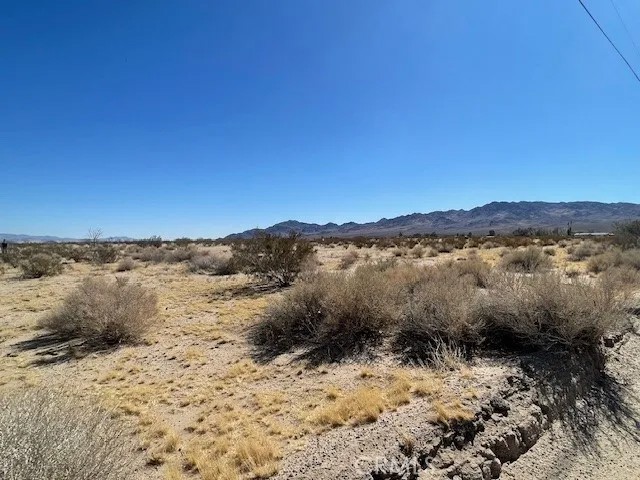 33255 Minneola Rd