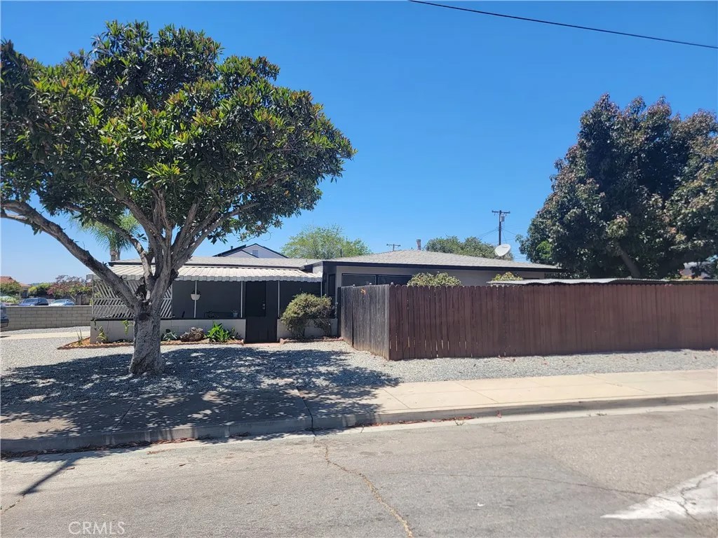 295 E Grevillia