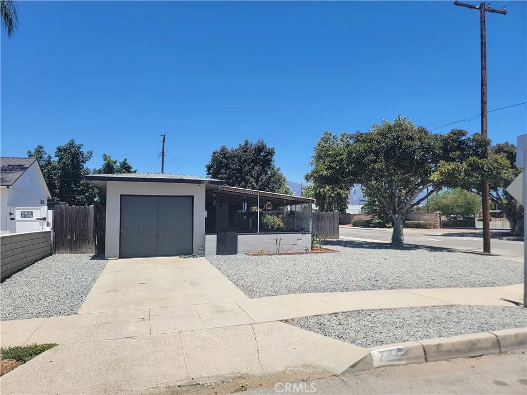 295 E Grevillia