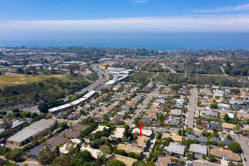 155 Rosebay 37