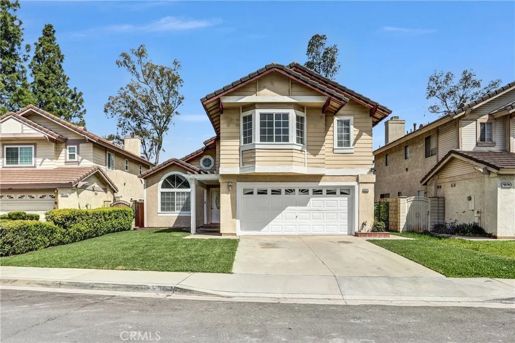 13614 Alexander