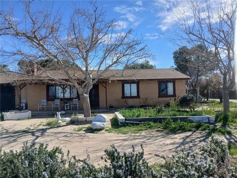 Photo of 9722 E Avenue Q, Palmdale, CA 93591 (MLS # SR26047156)