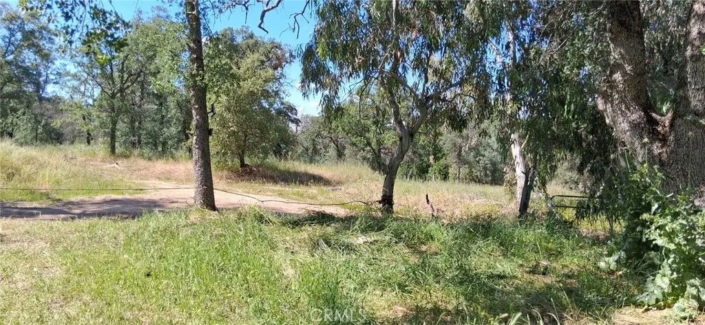 Photo of 35778 Wells Road, Coarsegold, CA 93614 (MLS # FR26092706)