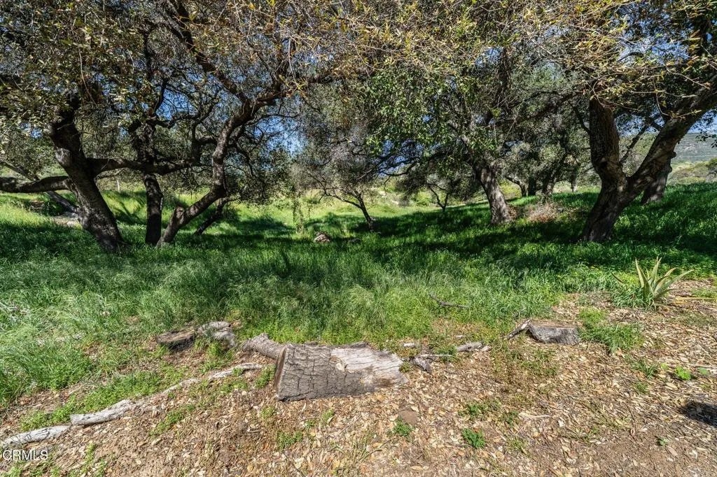 4700 Rising Hill