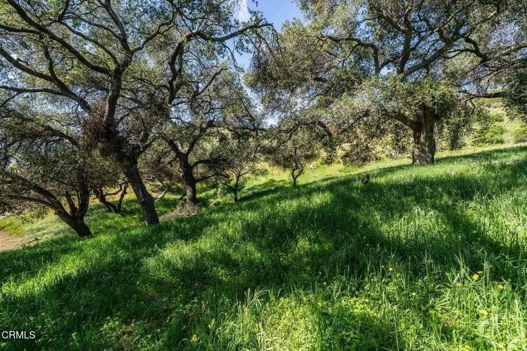 4700 Rising Hill