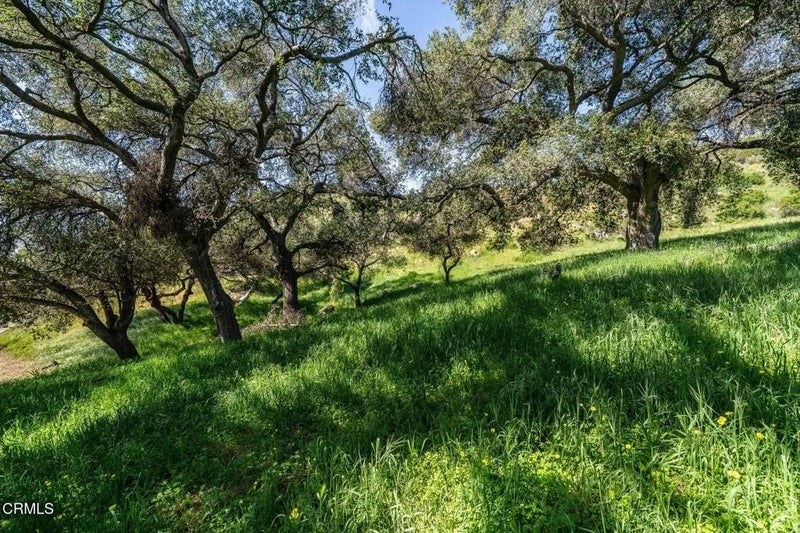 4700 Rising Hill
