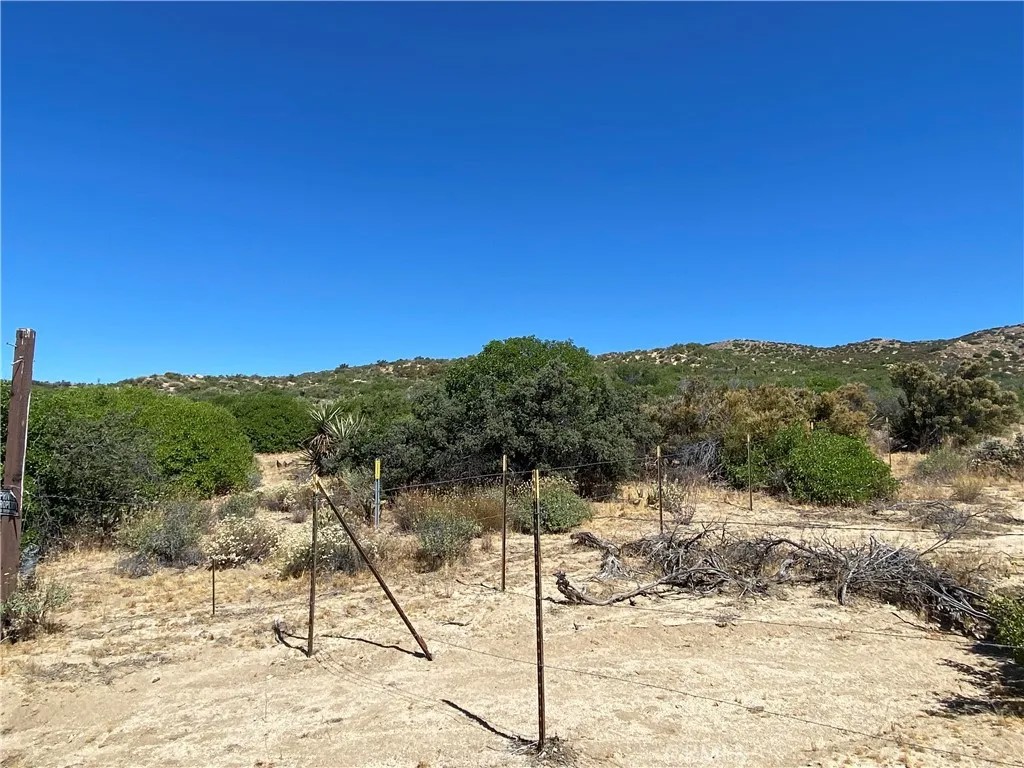 63151 Table Mountain Truck