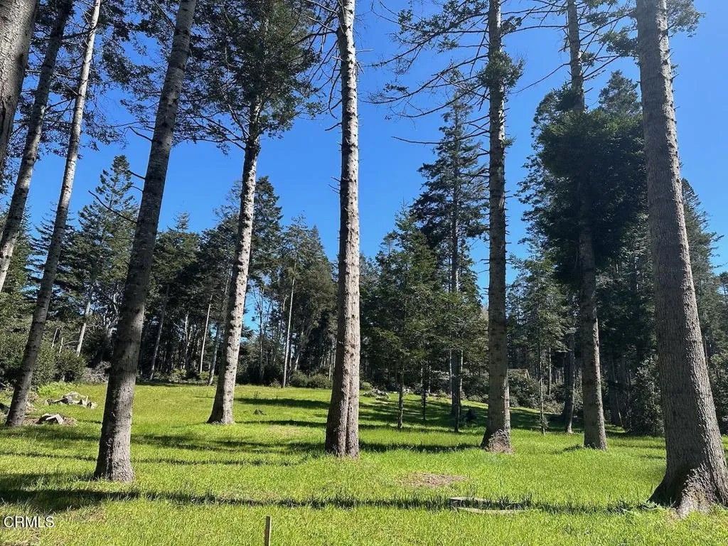 Photo of 26555 Highway 1, Fort Bragg, CA 95437 (MLS # C1-11327)