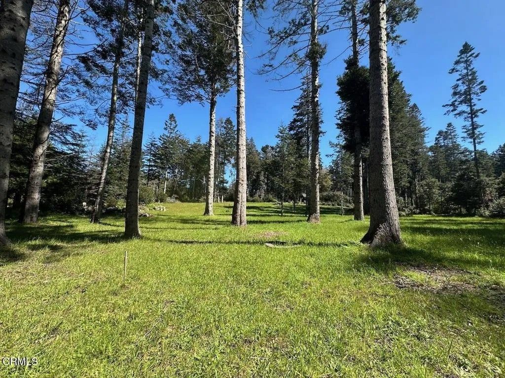 Photo of 26555 Highway 1, Fort Bragg, CA 95437 (MLS # C1-11327)
