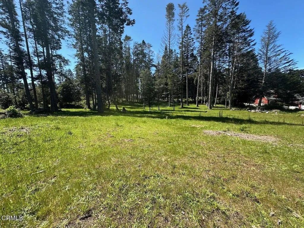 Photo of 26555 Highway 1, Fort Bragg, CA 95437 (MLS # C1-11327)