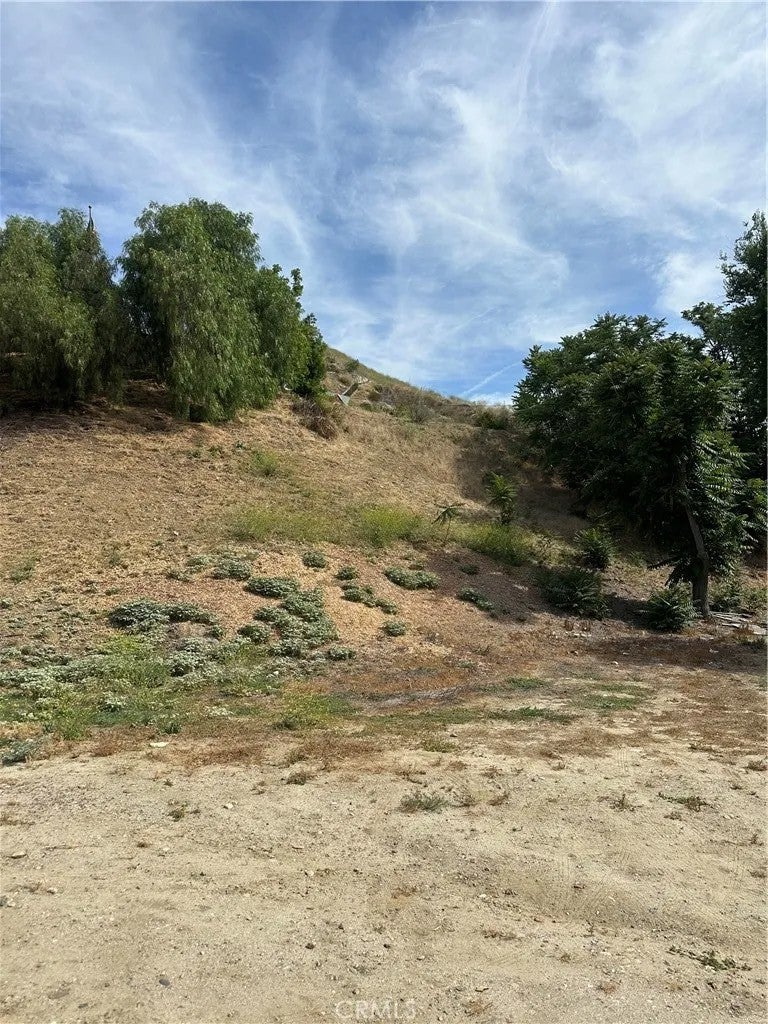 30021 Buchanan