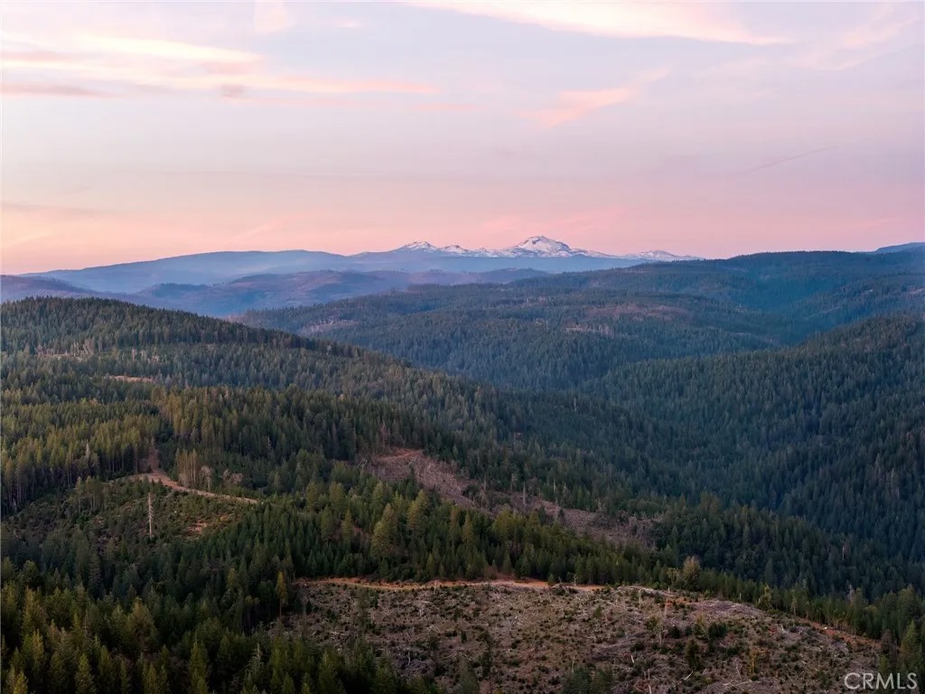 5498 Platt Mountain