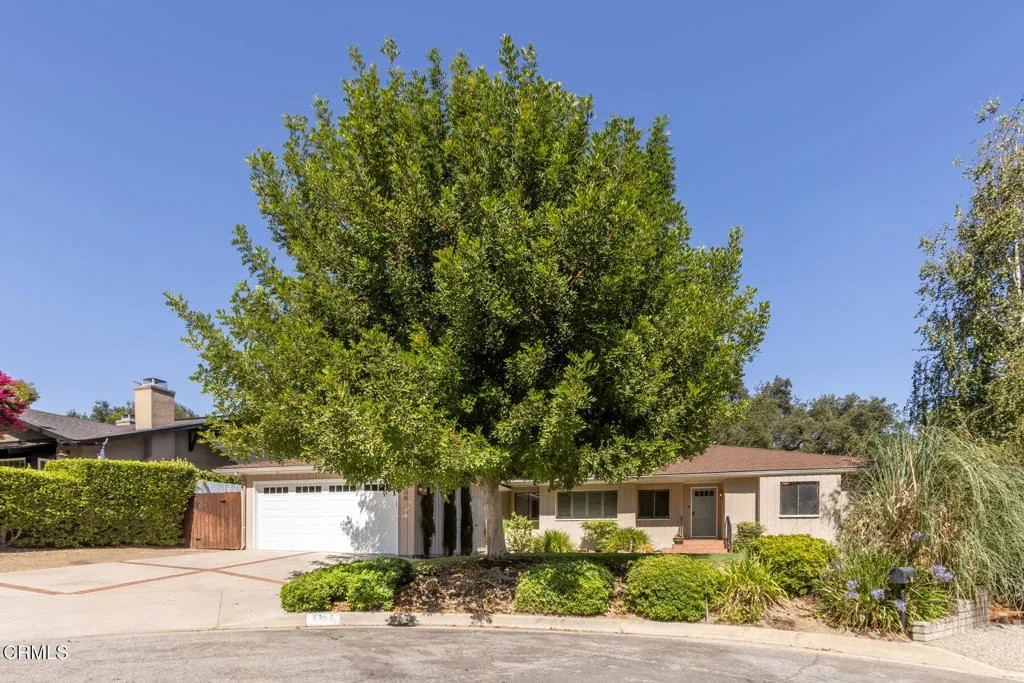 4308 Hayman Avenue