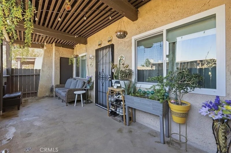 12241 Carnation D