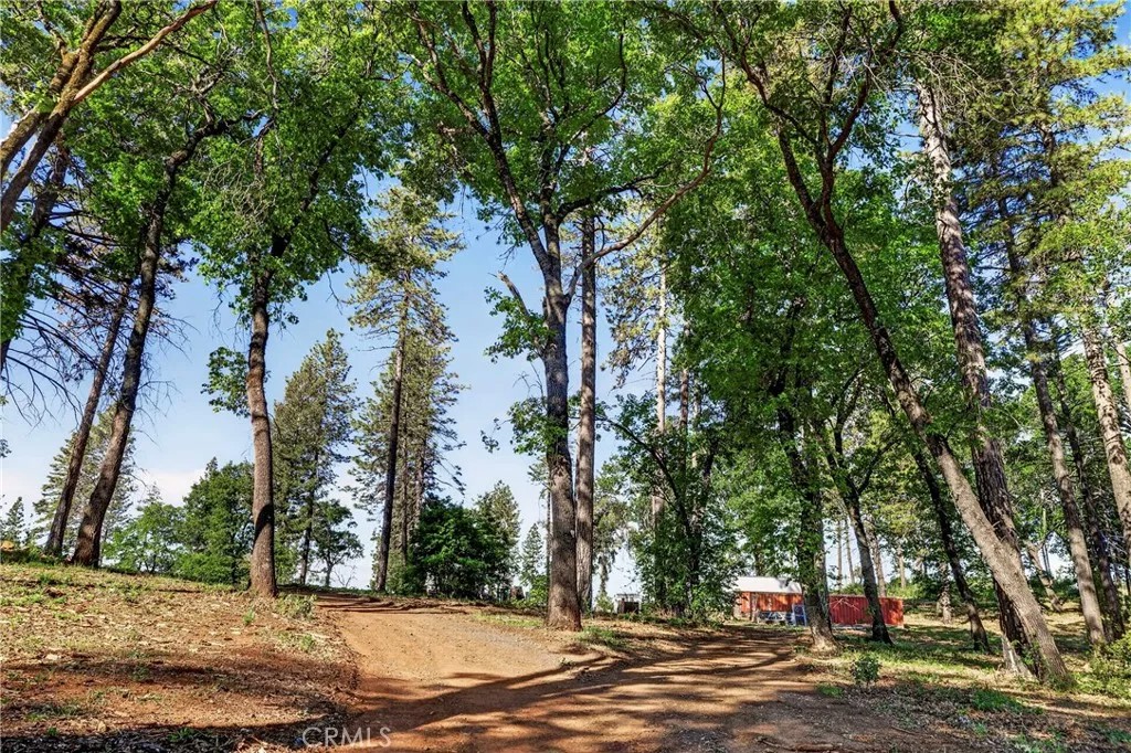 12471 Granite Ridge